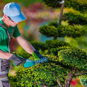 Entreprise de jardinage 18